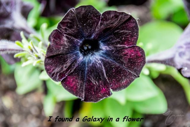 page,20,top 1500 daily pics of the year 2015.html - 1 HD Photos | Premium Gallery 2015