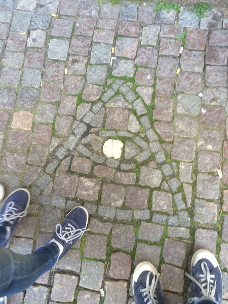 morning picdump 51 pics 2.html - 51 HD Photos | Premium Gallery 2015