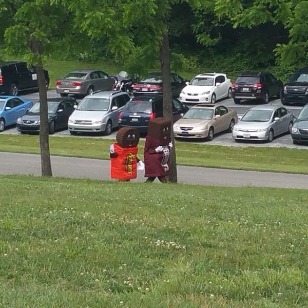 morning picdump 51 pics 2.html - 51 HD Photos | Premium Gallery 2015