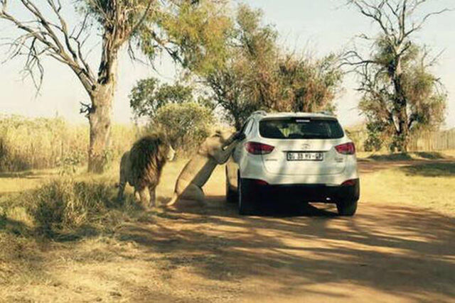 morning picdump 51 pics 2.html - 51 HD Photos | Premium Gallery 2015