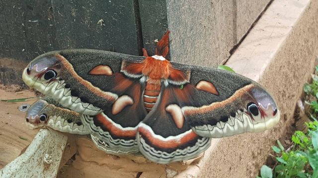 morning picdump 51 pics 2.html - 51 HD Photos | Premium Gallery 2015