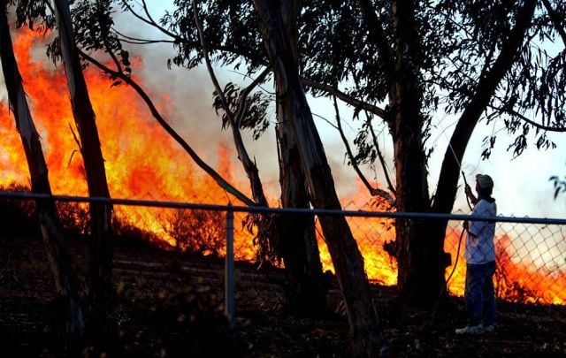 daily picdump 101 pics 60.html - 101 HD Photos | Premium Gallery 2015