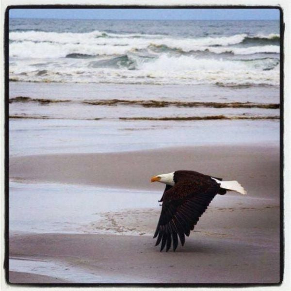 daily picdump 101 pics 60.html - 101 HD Photos | Premium Gallery 2015