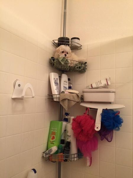 daily picdump 101 pics 60.html - 101 HD Photos | Premium Gallery 2015