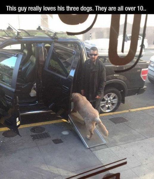 daily picdump 101 pics 60.html - 101 HD Photos | Premium Gallery 2015