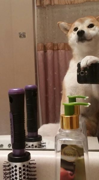 daily picdump 101 pics 60.html - 101 HD Photos | Premium Gallery 2015