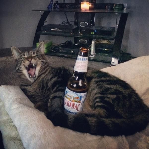 daily picdump 101 pics 60.html - 101 HD Photos | Premium Gallery 2015