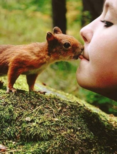 daily picdump 101 pics 60.html - 101 HD Photos | Premium Gallery 2015