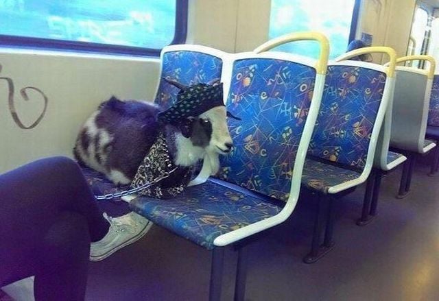 daily picdump 101 pics 60.html - 101 HD Photos | Premium Gallery 2015