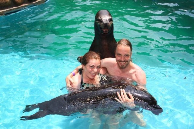 daily picdump 101 pics 60.html - 101 HD Photos | Premium Gallery 2015