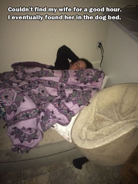 daily picdump 101 pics 60.html - 101 HD Photos | Premium Gallery 2015