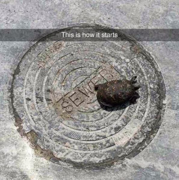 daily picdump 101 pics 60.html - 101 HD Photos | Premium Gallery 2015