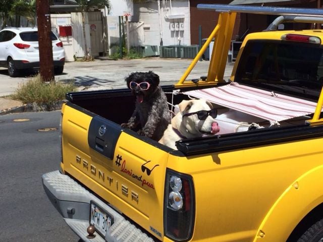 daily picdump 101 pics 60.html - 101 HD Photos | Premium Gallery 2015