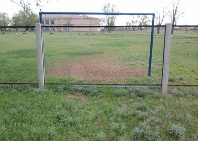 daily picdump 101 pics 60.html - 101 HD Photos | Premium Gallery 2015