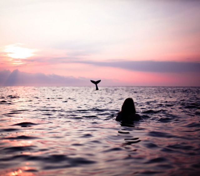 daily picdump 101 pics 60.html - 101 HD Photos | Premium Gallery 2015