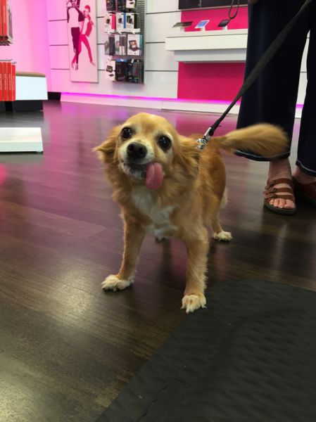 morning picdump 52 pics 11.html - 52 HD Photos | Premium Gallery 2015