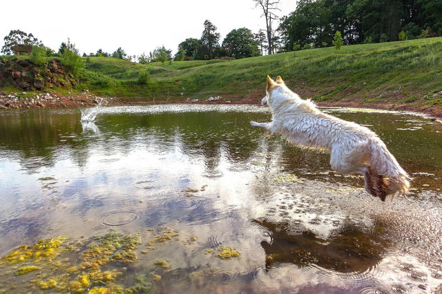 morning picdump 52 pics 11.html - 52 HD Photos | Premium Gallery 2015