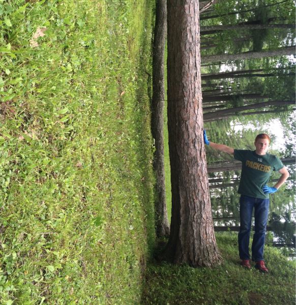 morning picdump 52 pics 11.html - 52 HD Photos | Premium Gallery 2015