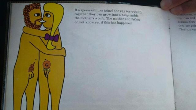 A Vulgar Kids Book from 1975