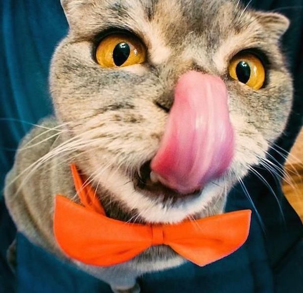 daily picdump 107 pics 27.html - 107 HD Photos | Premium Gallery 2015