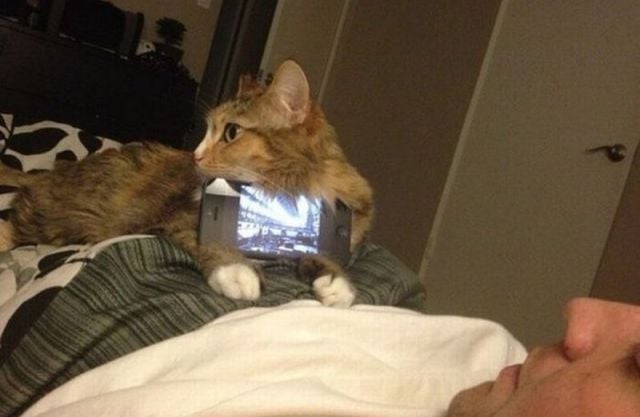 daily picdump 107 pics 27.html - 107 HD Photos | Premium Gallery 2015