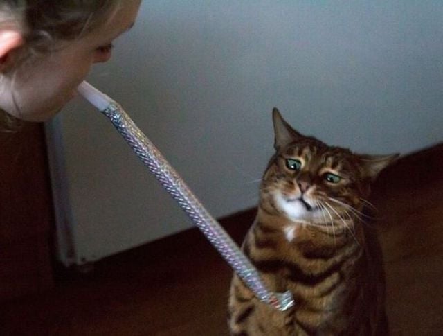 daily picdump 107 pics 27.html - 107 HD Photos | Premium Gallery 2015