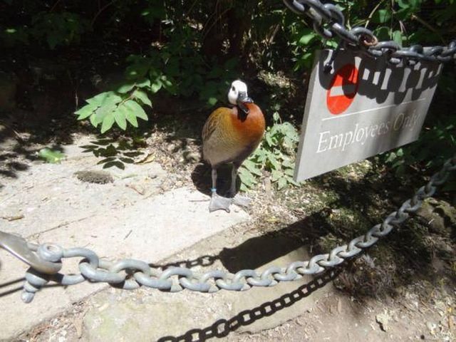 daily picdump 107 pics 27.html - 107 HD Photos | Premium Gallery 2015