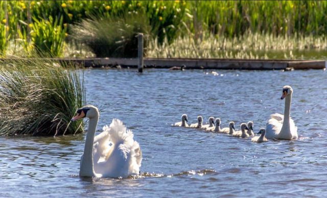 daily picdump 107 pics 27.html - 107 HD Photos | Premium Gallery 2015