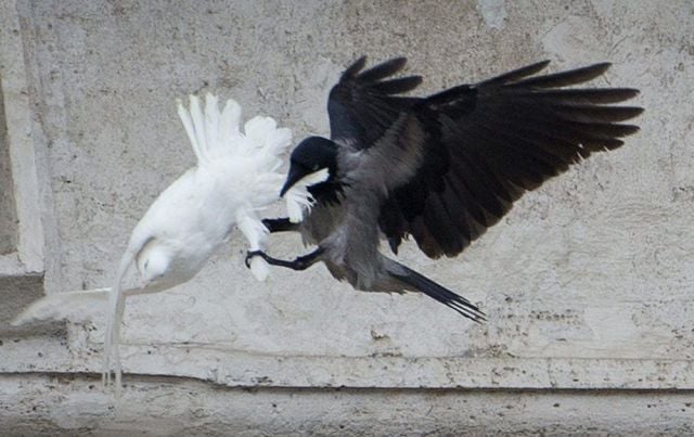 daily picdump 107 pics 27.html - 107 HD Photos | Premium Gallery 2015