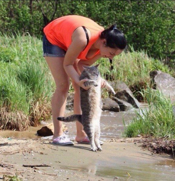 daily picdump 107 pics 27.html - 107 HD Photos | Premium Gallery 2015