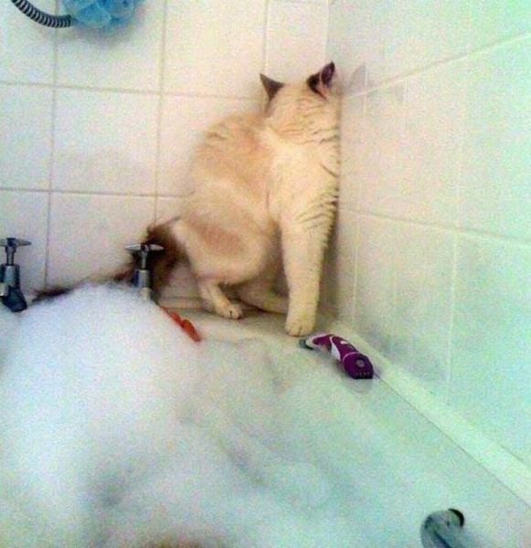 daily picdump 107 pics 27.html - 107 HD Photos | Premium Gallery 2015