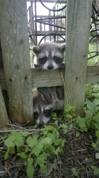 daily picdump 107 pics 27.html - 107 HD Photos | Premium Gallery 2015