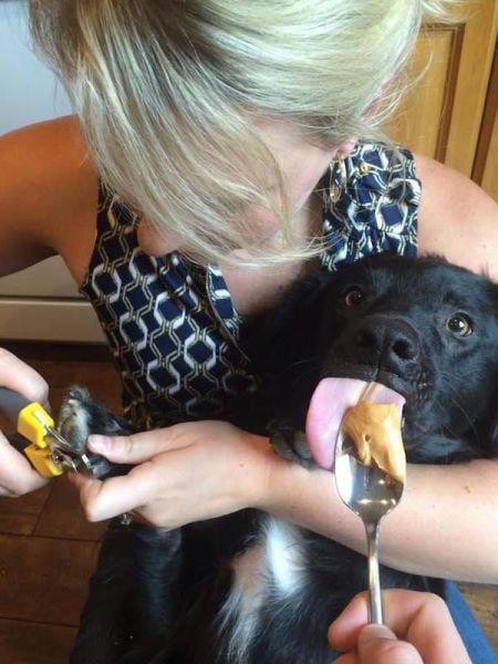 daily picdump 107 pics 27.html - 107 HD Photos | Premium Gallery 2015