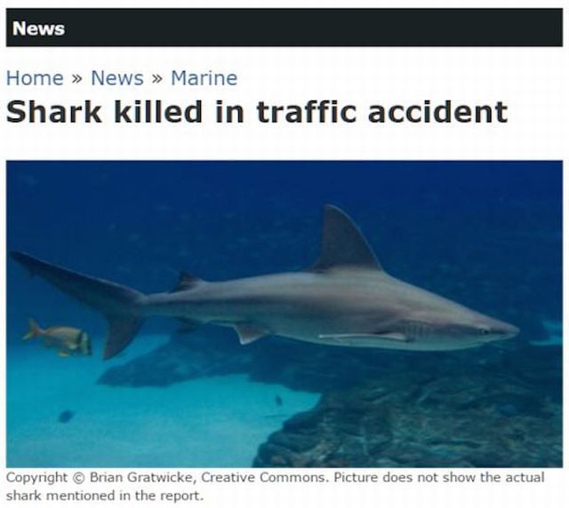 daily picdump 107 pics 27.html - 107 HD Photos | Premium Gallery 2015