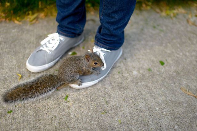 daily picdump 107 pics 27.html - 107 HD Photos | Premium Gallery 2015