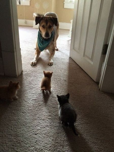 daily picdump 107 pics 27.html - 107 HD Photos | Premium Gallery 2015