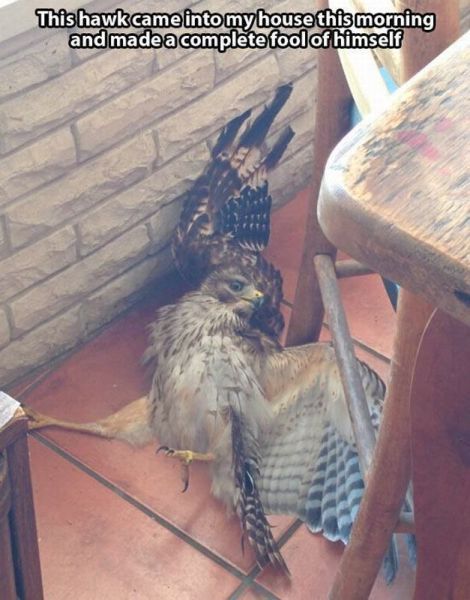 daily picdump 107 pics 27.html - 107 HD Photos | Premium Gallery 2015