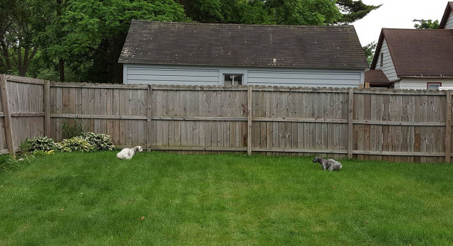 morning picdump 52 pics 12.html - 52 HD Photos | Premium Gallery 2015