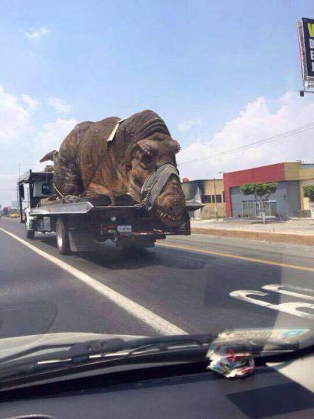 morning picdump 55 pics 27.html - 55 HD Photos | Premium Gallery 2015