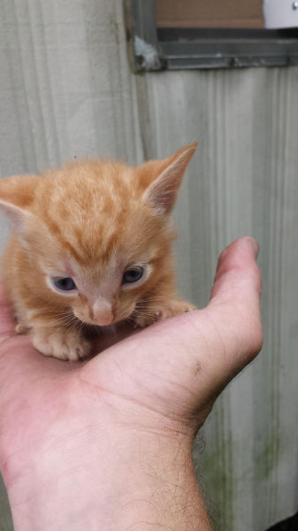 morning picdump 55 pics 27.html - 55 HD Photos | Premium Gallery 2015