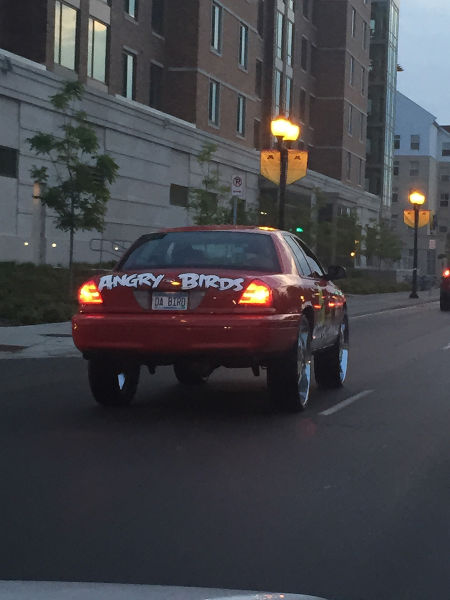 morning picdump 55 pics 9.html - 55 HD Photos | Premium Gallery 2015