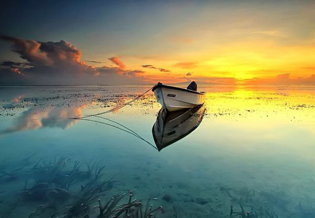 morning picdump 55 pics 9.html - 55 HD Photos | Premium Gallery 2015