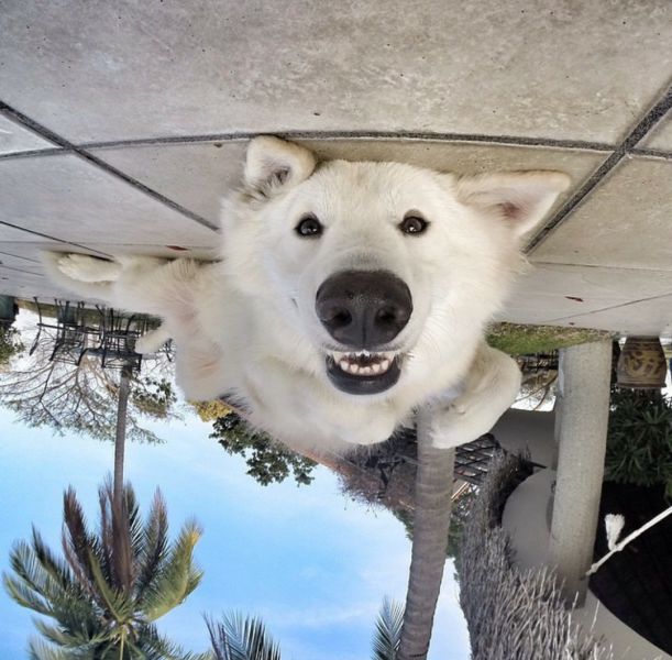 morning picdump 55 pics 9.html - 55 HD Photos | Premium Gallery 2015