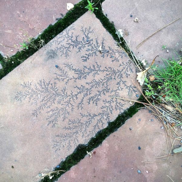 morning picdump 55 pics 9.html - 55 HD Photos | Premium Gallery 2015