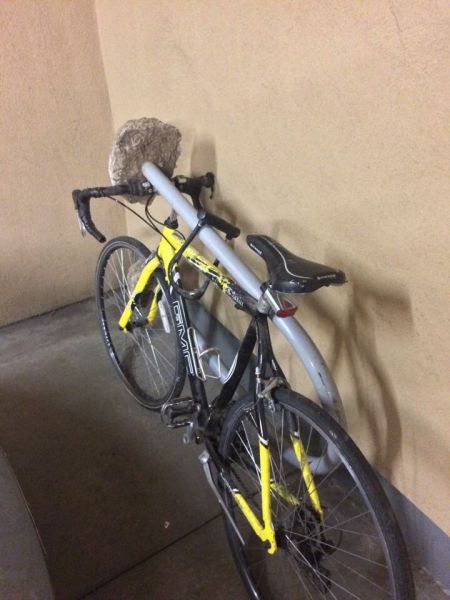 morning picdump 55 pics 9.html - 55 HD Photos | Premium Gallery 2015