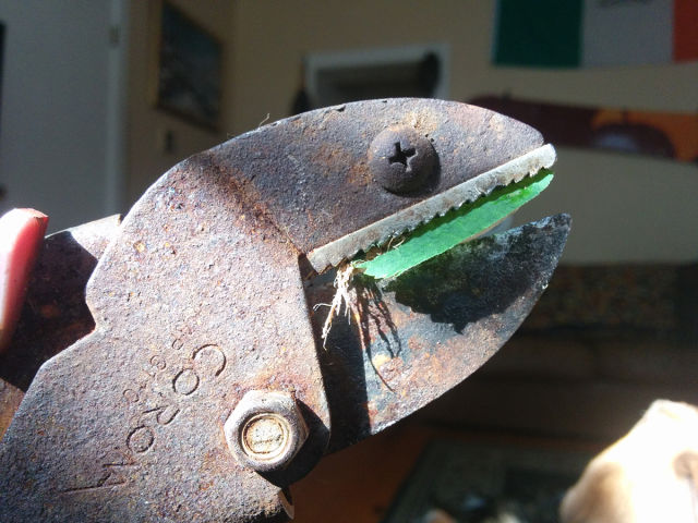 morning picdump 55 pics 9.html - 55 HD Photos | Premium Gallery 2015