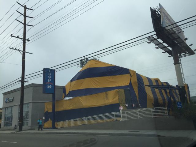 morning picdump 55 pics 9.html - 55 HD Photos | Premium Gallery 2015