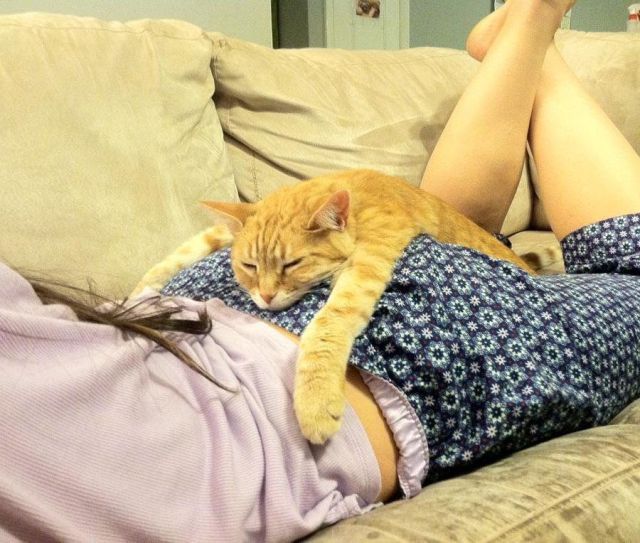 daily picdump 100 pics 13.html - 100 HD Photos | Premium Gallery 2015