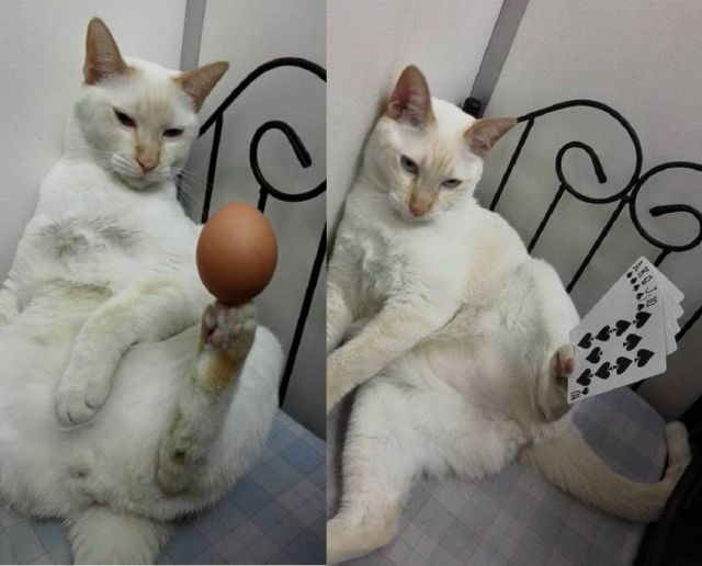 daily picdump 100 pics 13.html - 100 HD Photos | Premium Gallery 2015