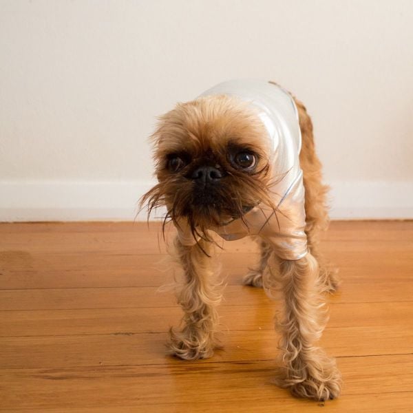 daily picdump 100 pics 13.html - 100 HD Photos | Premium Gallery 2015